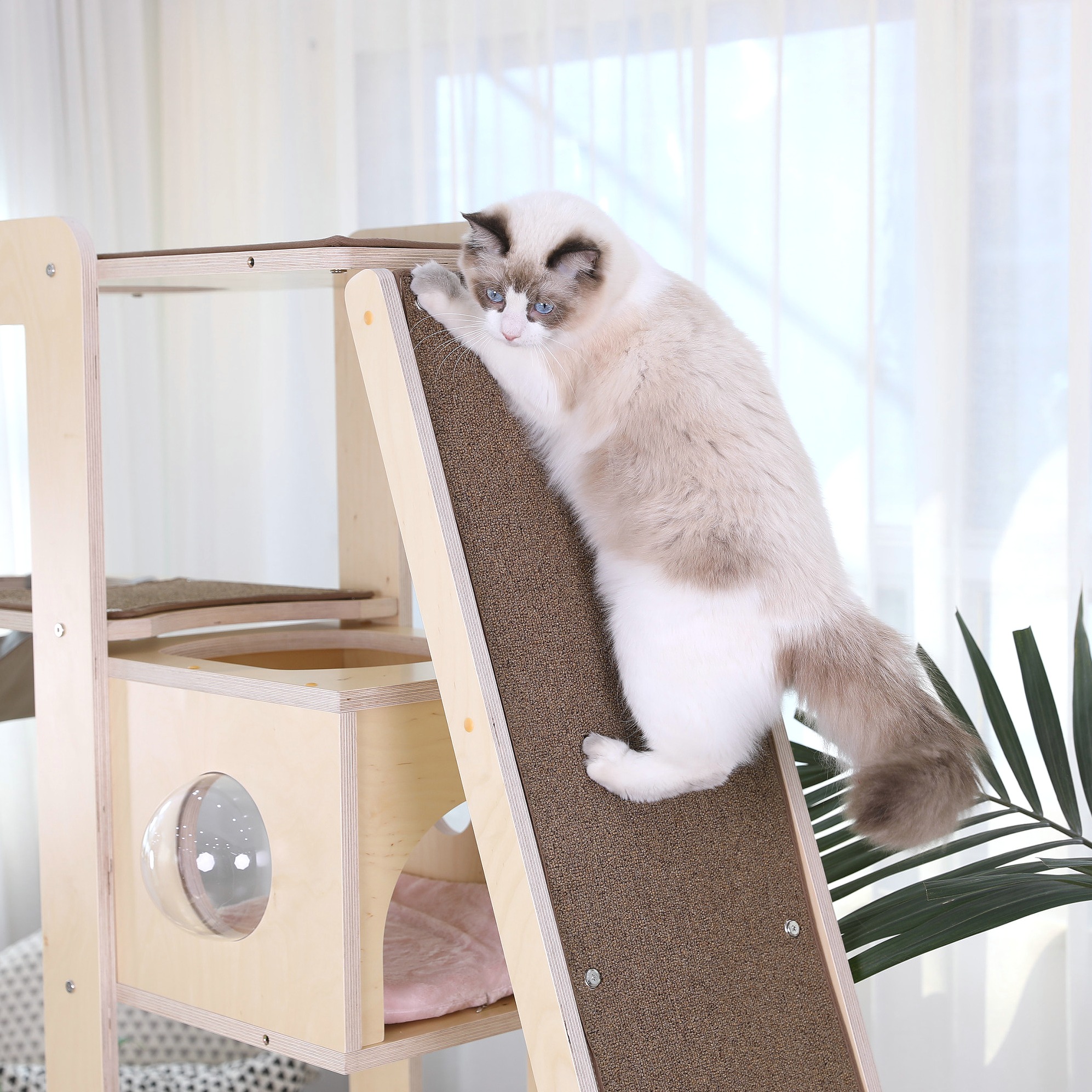 캣돌 미니모모타워 캣타워 캣폴