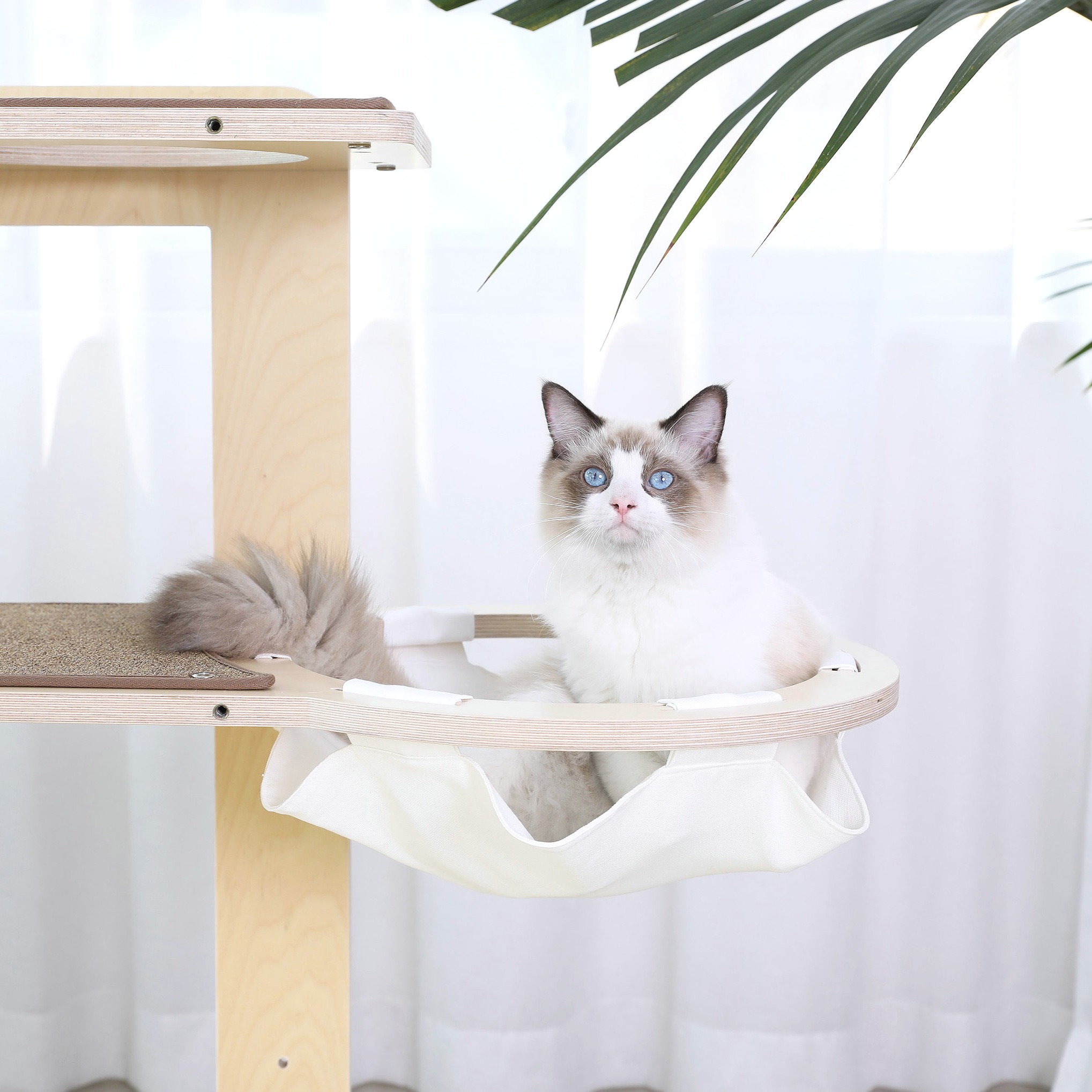 캣돌 미니모모타워 캣타워 캣폴