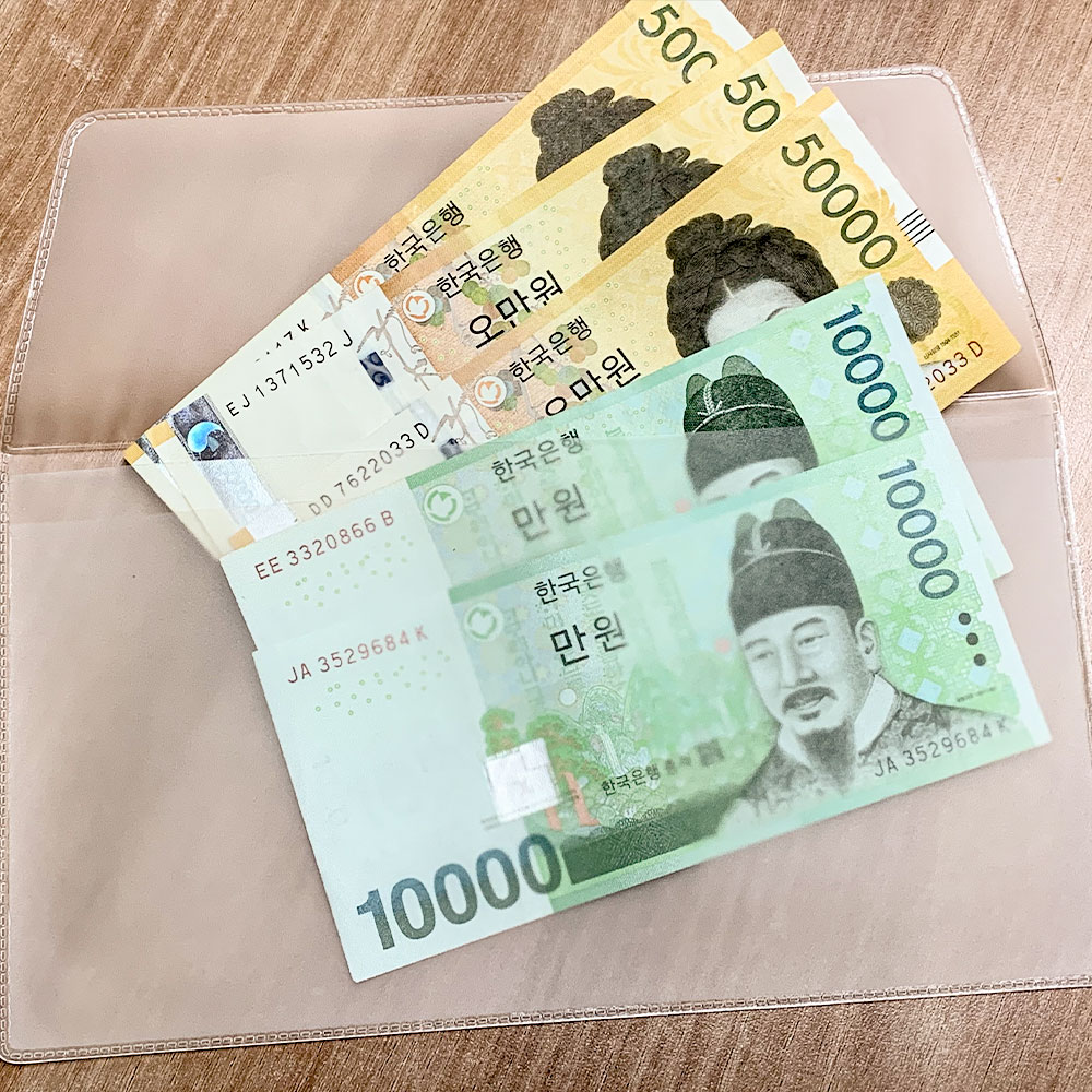 [1+1] 힐링쉴드 마스크 케이스 구리 항균 마스크보관케이스 더블포켓 파우치 이미지 6