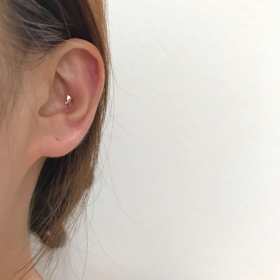 14k 미니 골드 나비 피어싱 - 심플 데일리 아웃컨츠 이너컨츠 로즈골드 - 상세 이미지 4