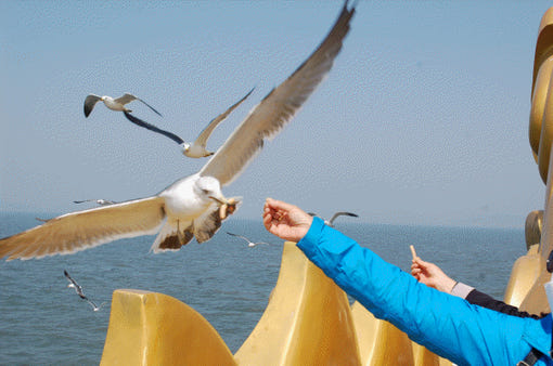 thumbnail-3
