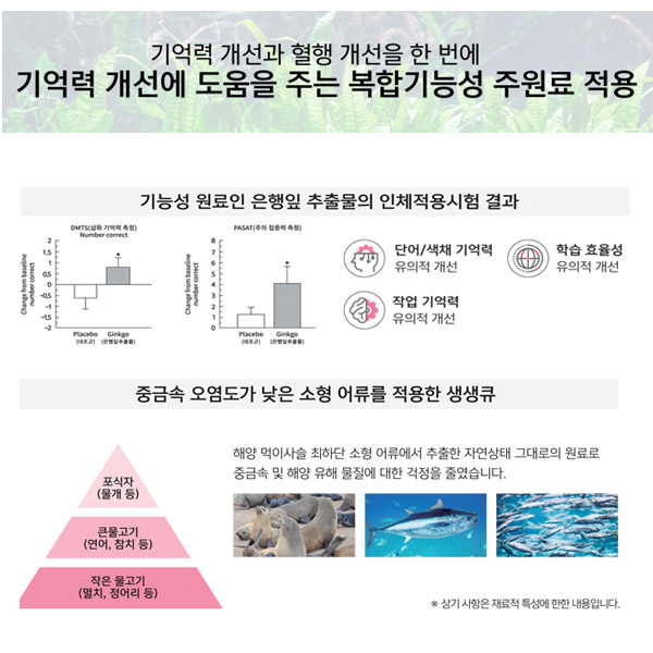 엔트리 생생큐 500mgx120캡슐 1세트 (기억력개선, 두뇌건강) : 365리빙마이엘샵