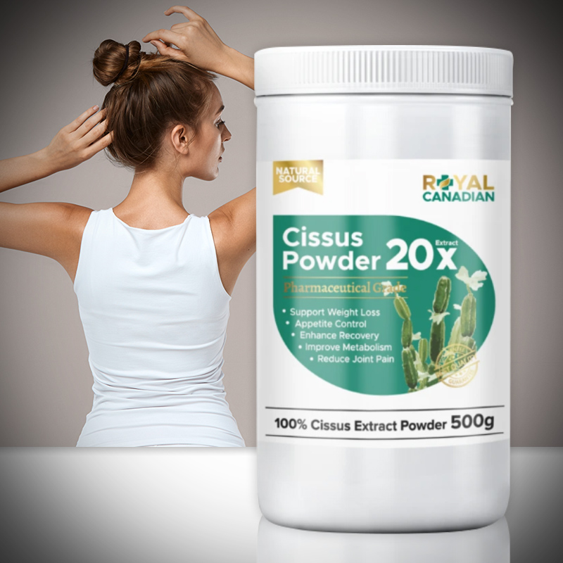 캐나다 시서스 파우더 500g 20배 고농축 시저스 CISSUS 가루 씨서스 분말 20X