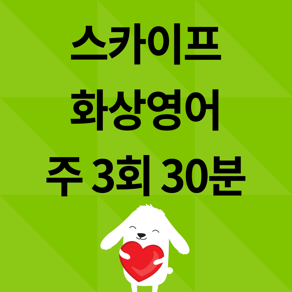 화상영어 30분 주 3회(12회) 상품 이미지