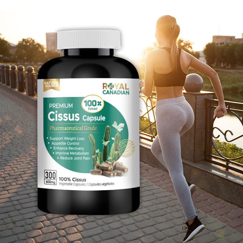 캐나다 100배 농축 100% 시서스 300 캡슐 600mg 씨서스 CISSUS 분말 가루 - 메인 이미지