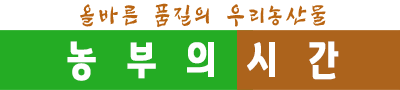 프리미엄 프로폴리스 100ml 원액 액상 부모님선물