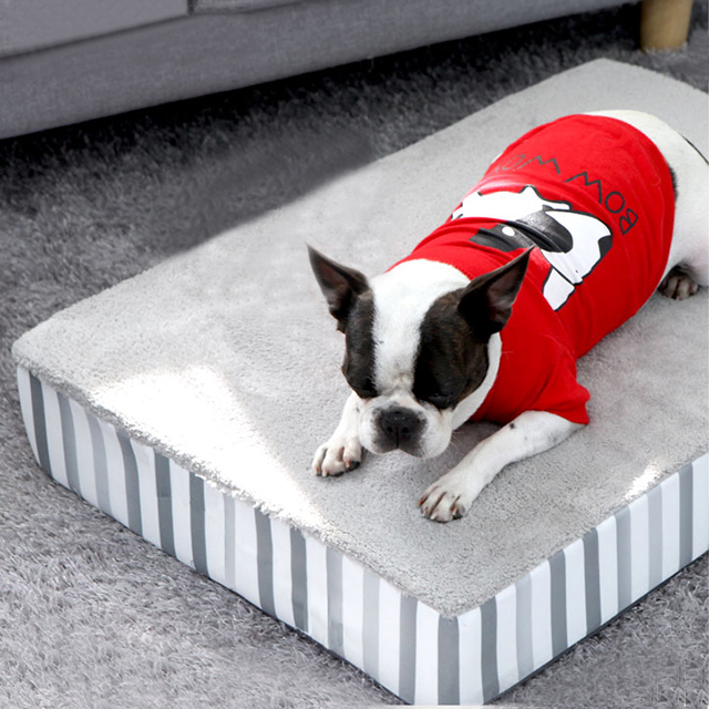 탄탄 애견침대 소파 강아지쇼파 쿠션 펫 코든 버블그레이 대형