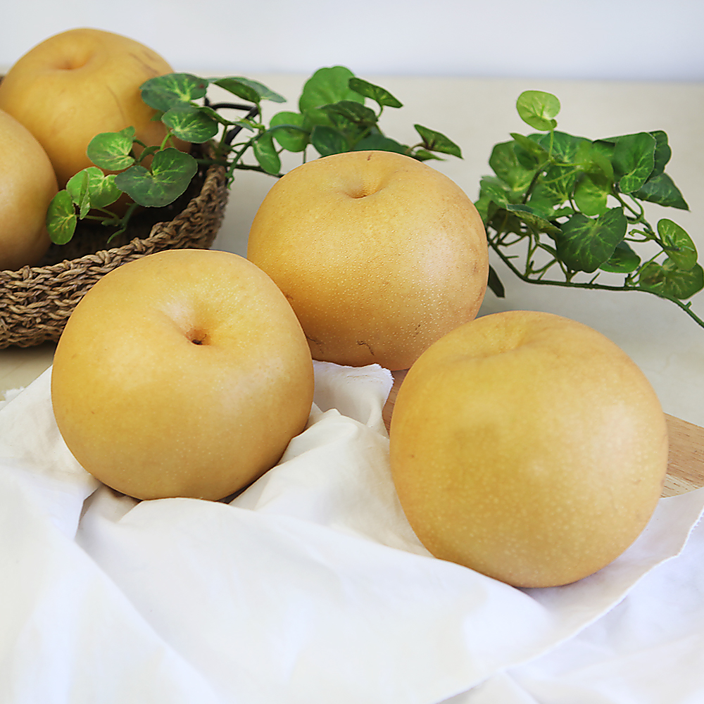 26년 햇 나주 배 3kg 5kg - 상세 이미지 2