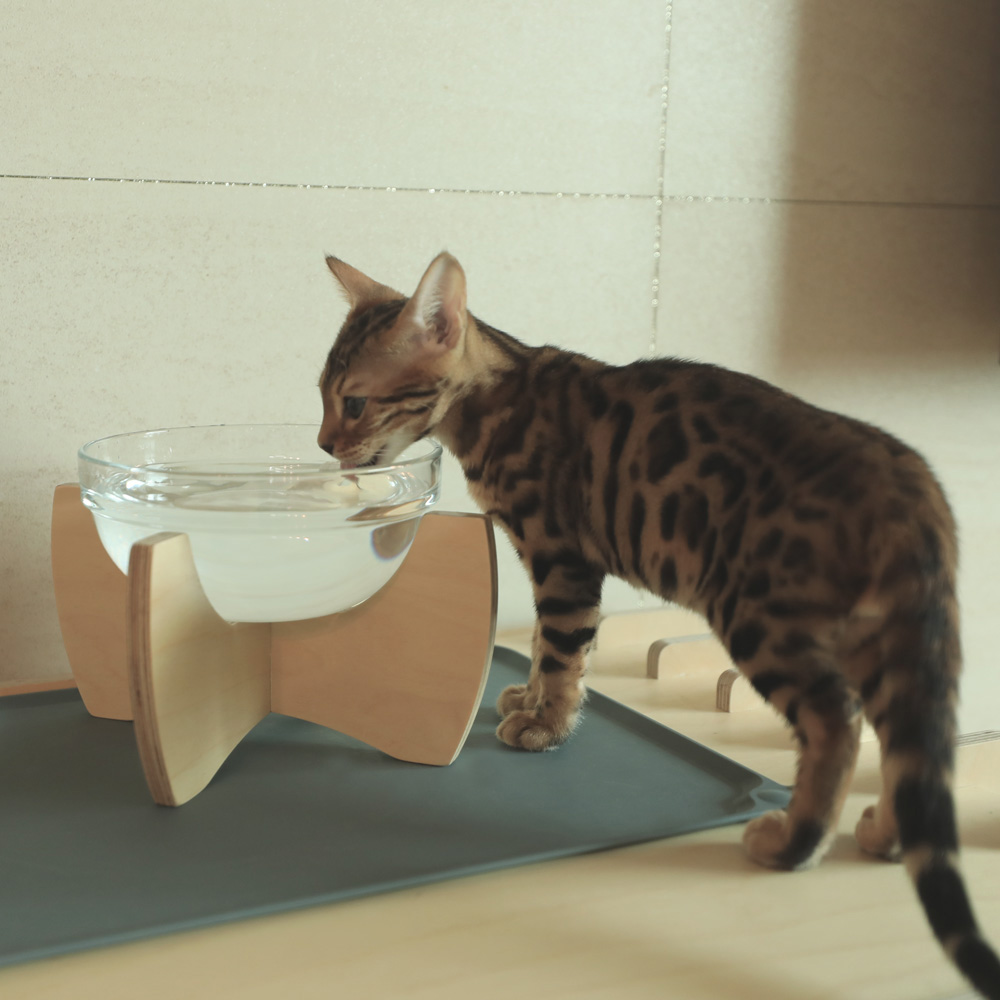 캣츠빌 강아지 고양이 원목 물그릇 반려동물 원목 수반 심플형 중형(X자형)