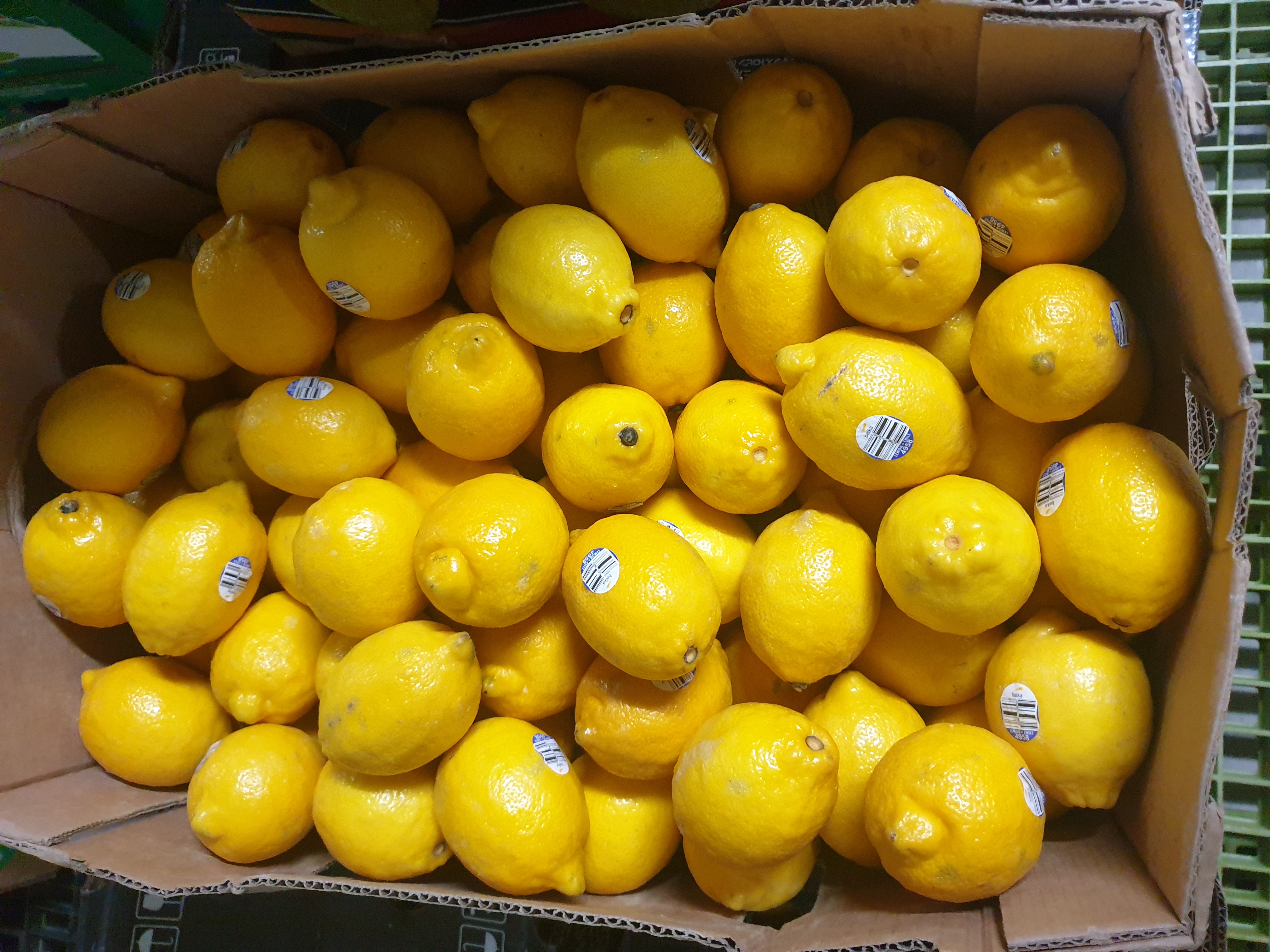 청레몬 5kg 10kg 혼합 제주 산지직송 - 상세 이미지 3