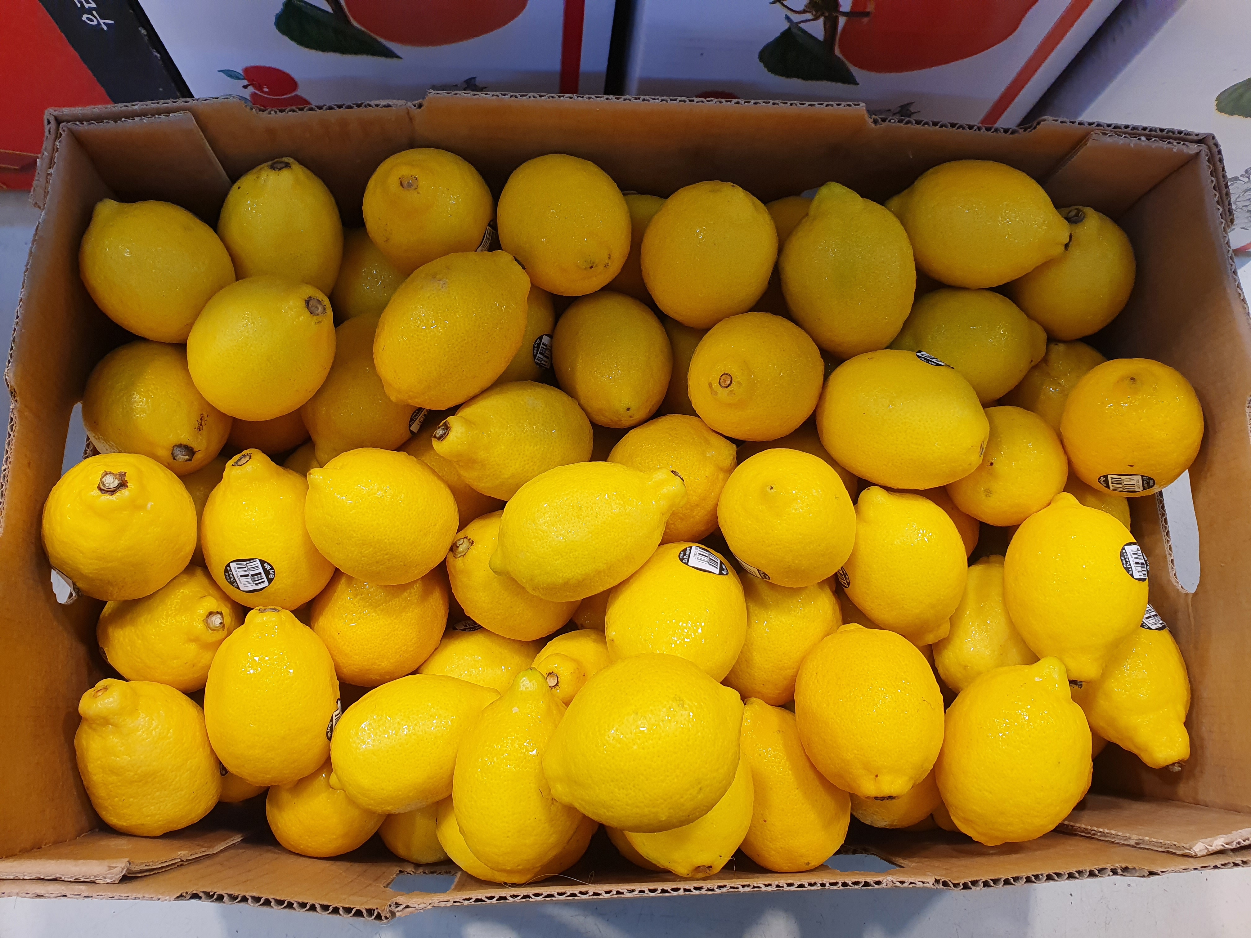 청레몬 5kg 10kg 혼합 제주 산지직송 - 상세 이미지 2