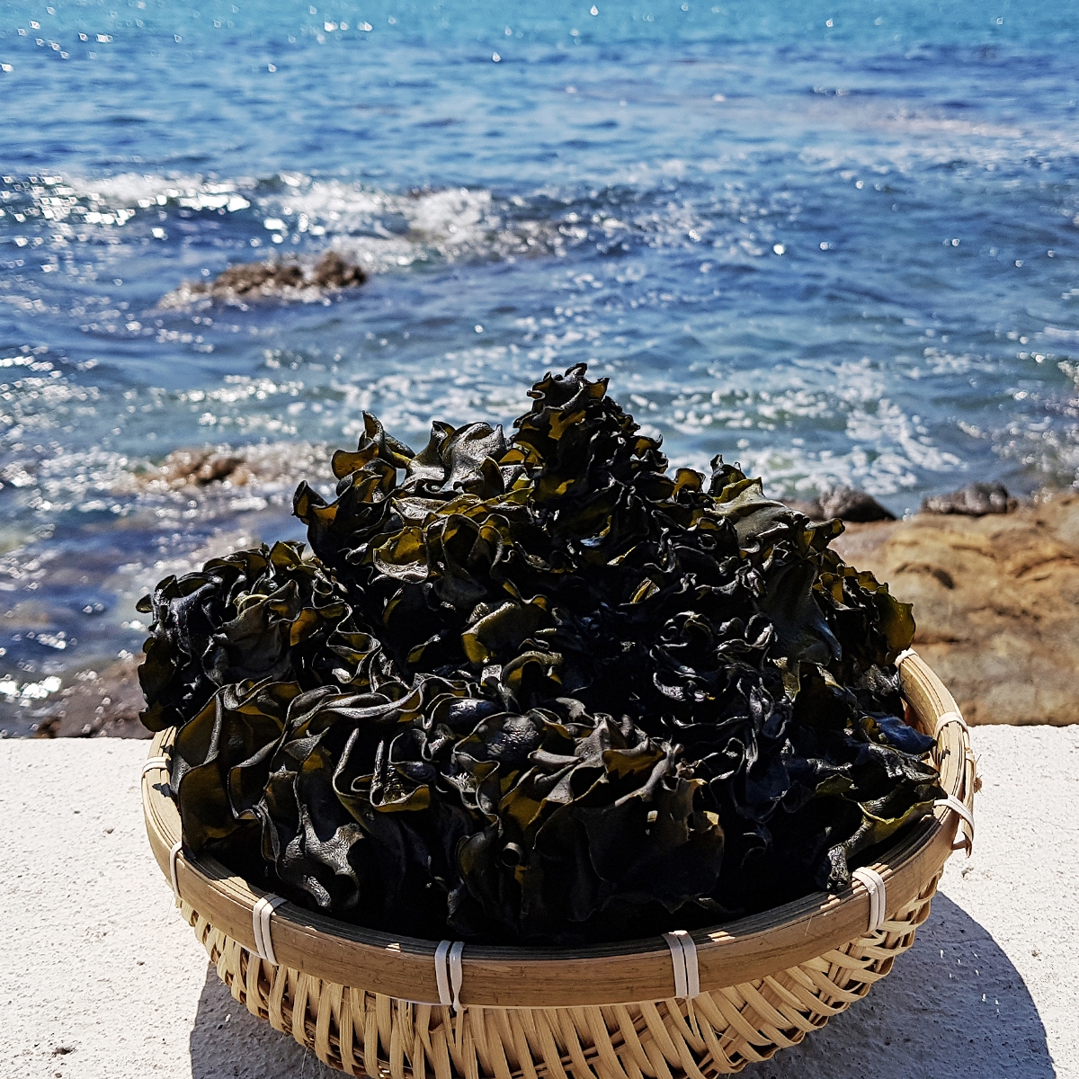 완도 미역귀 500g, 2개