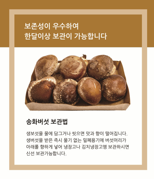 김포시사회적경제마켓,송화버섯