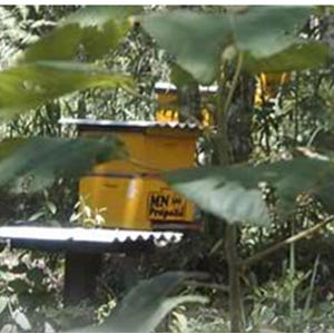 2009년부터수입 그린PROPOLIS MN 브라질 프로폴리스 스프레이 스... 맛있게 먹은 솔직 후기 - 상품 이미지 3