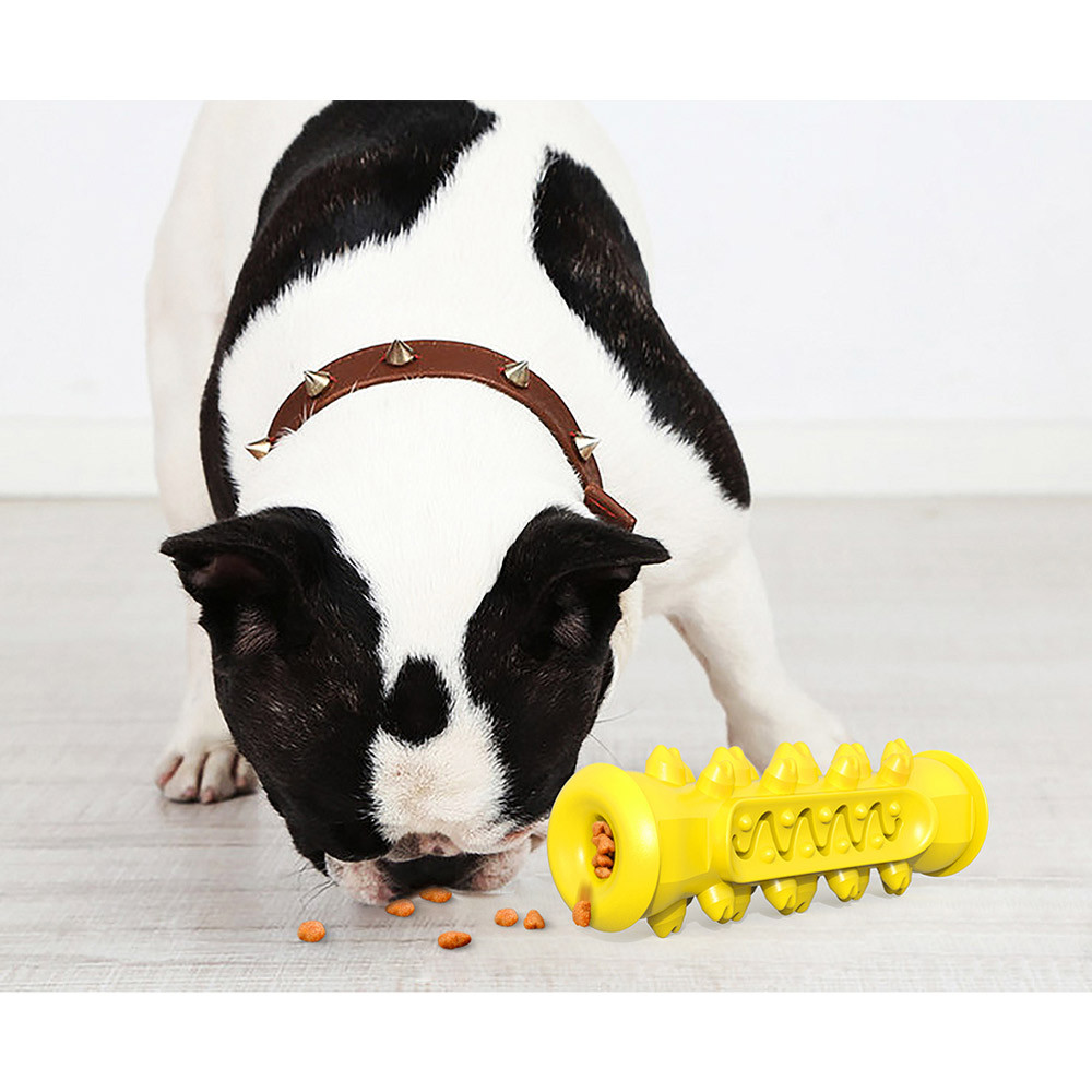 강아지칫솔 애견 셀프 칫솔 M 양치 치석제거기 이빨닦기 스케일링 장난감