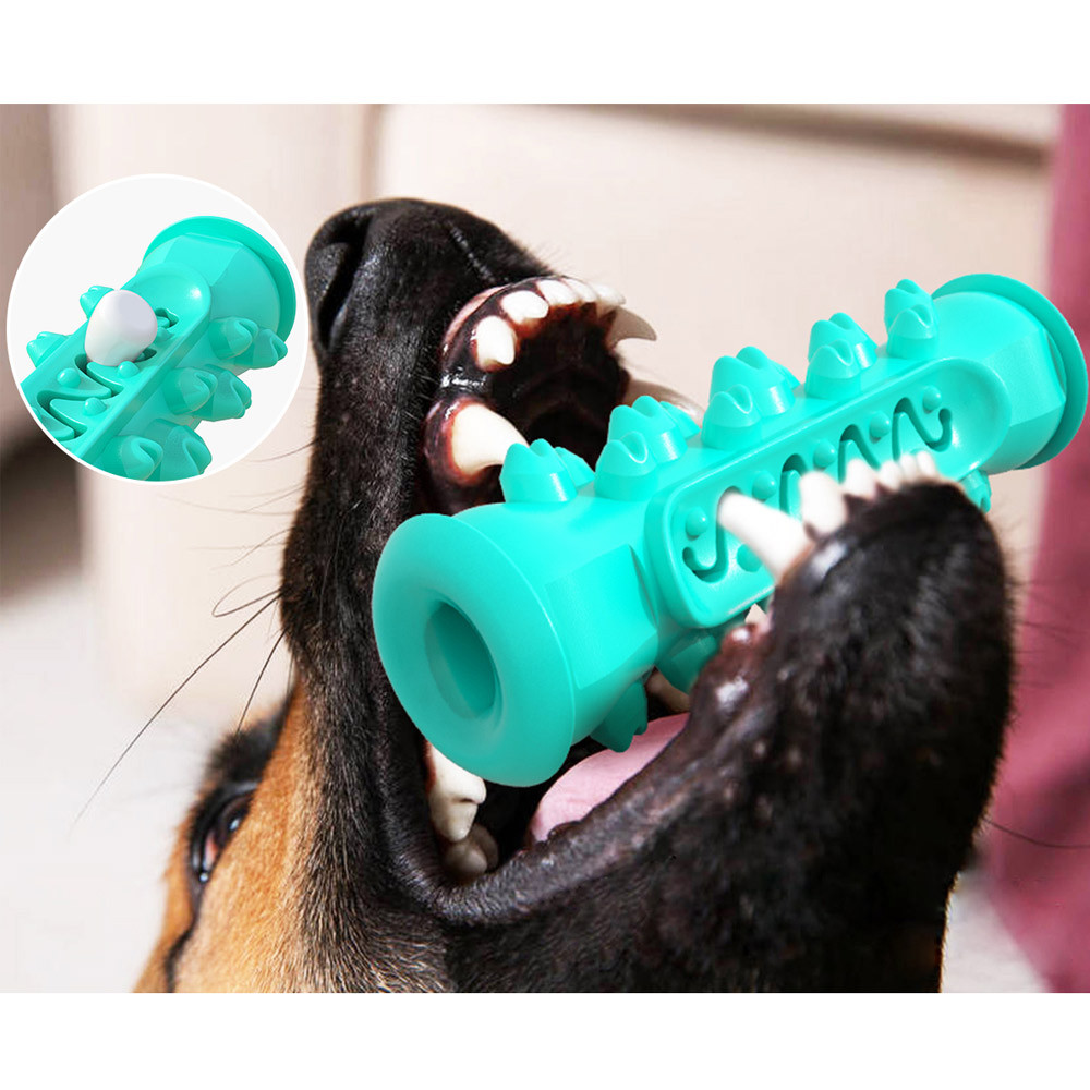 강아지칫솔 애견 셀프 칫솔 M 양치 치석제거기 이빨닦기 스케일링 장난감