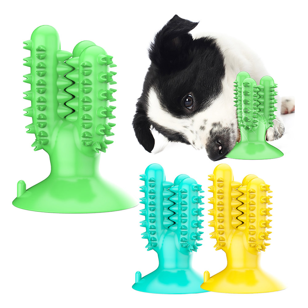 강아지칫솔 애견 셀프 칫솔 M 양치 치석제거기 이빨닦기 스케일링 장난감