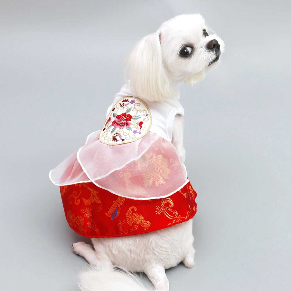 강아지 고양이 애견 한복 설빔 강아지옷 개량드레스 - 상세 이미지 4