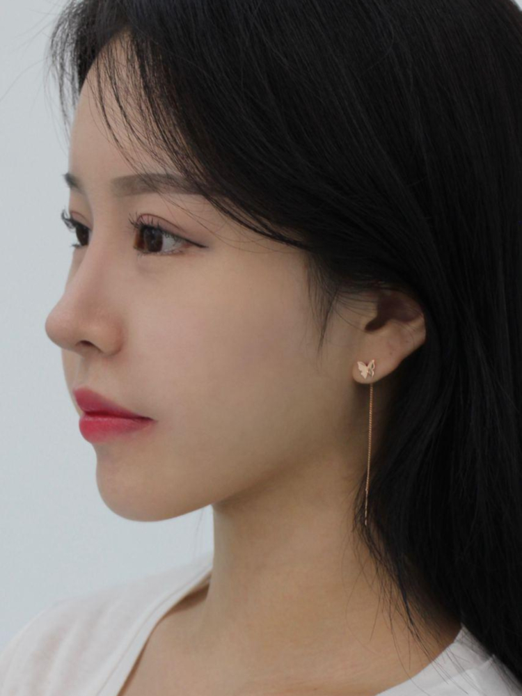 14k 롱 체인 드롭 귀걸이 나비 심플 데일리 여자 친구 20대 선물 - 상세 이미지 2