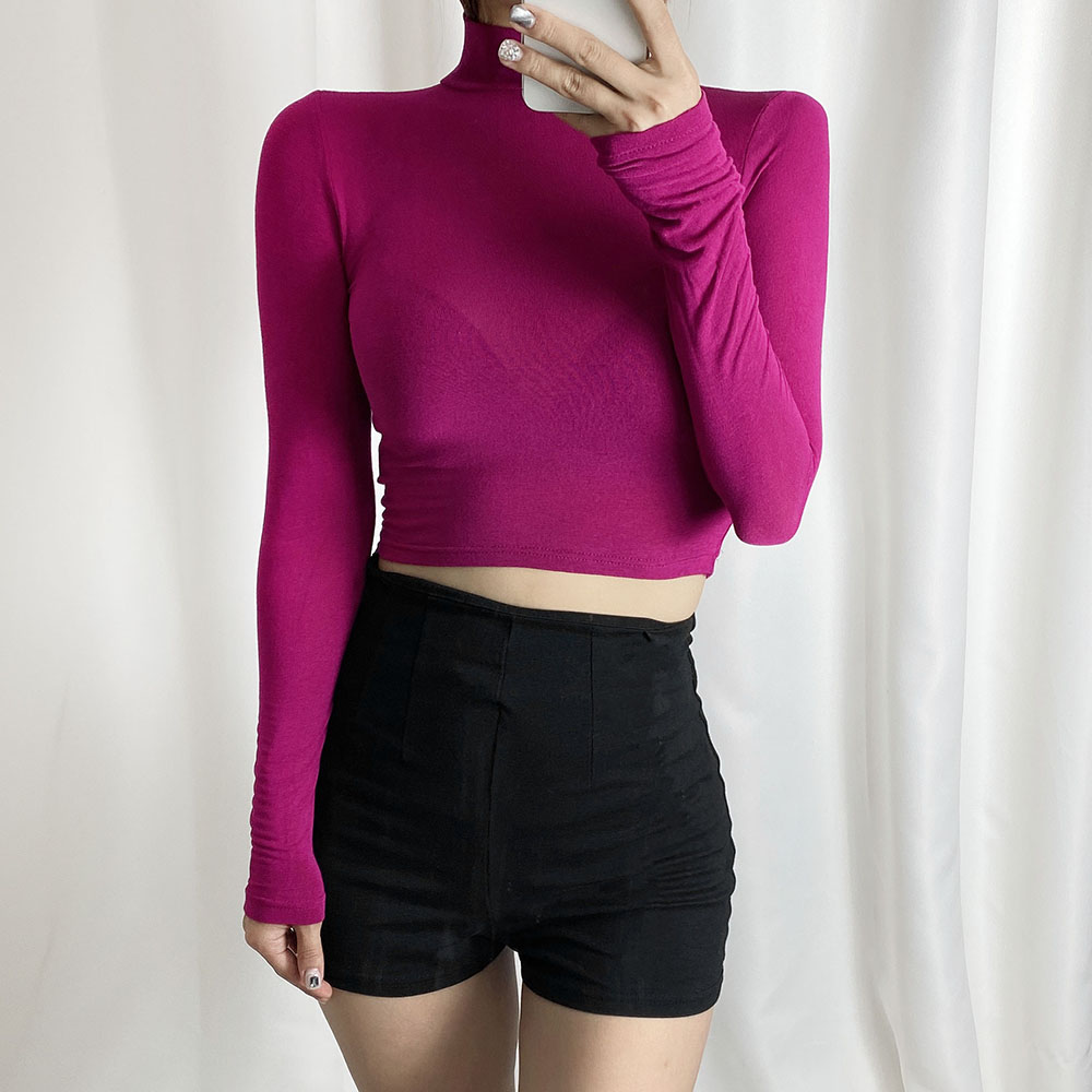 탱탱 슬림핏 텐션 목폴라 반폴라 터틀넥 시스루 크롭티셔츠 4color - 상세 이미지 5