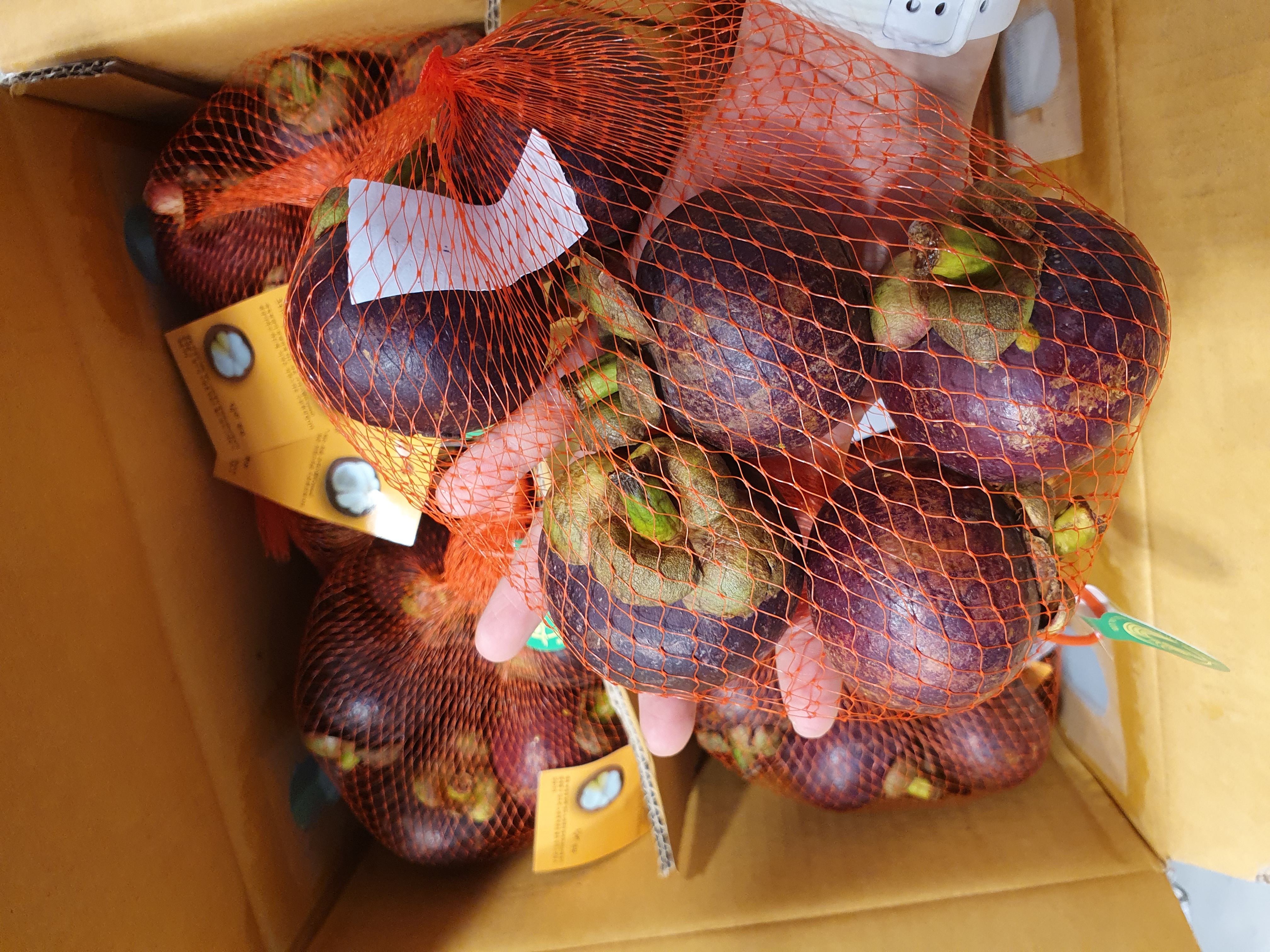 망고스틴 태국 생망고스틴 500g 1kg 2kg 항공직송 - 상세 이미지 3