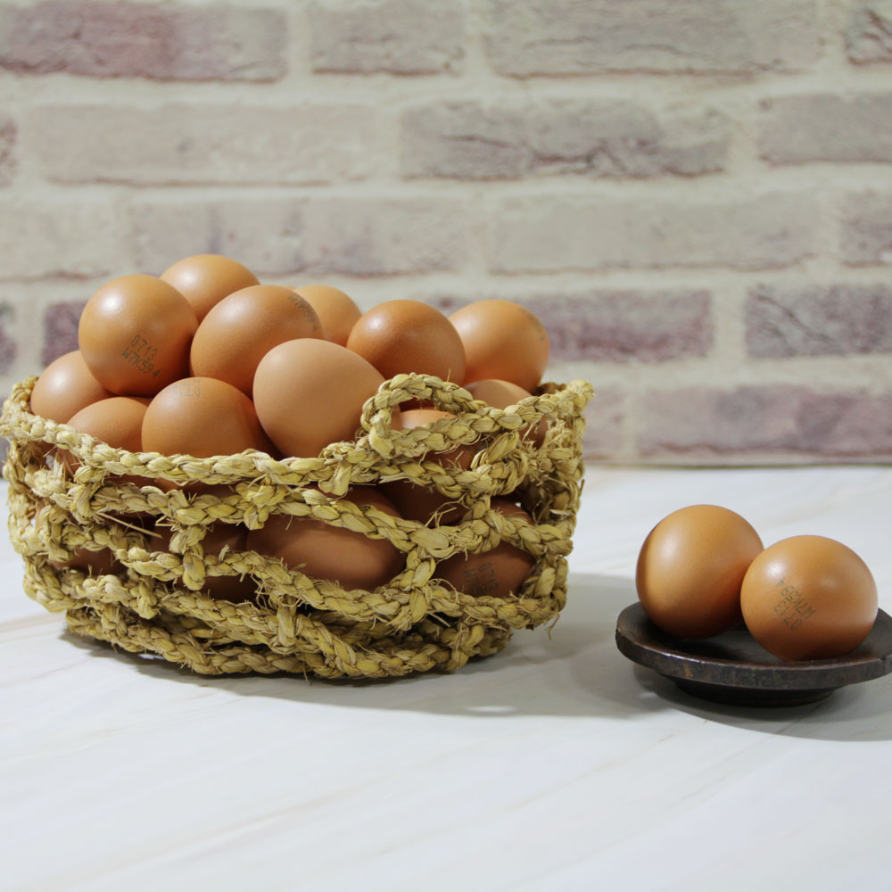 무항생제 계란 60구 특란 1등급 판정계란 달걀