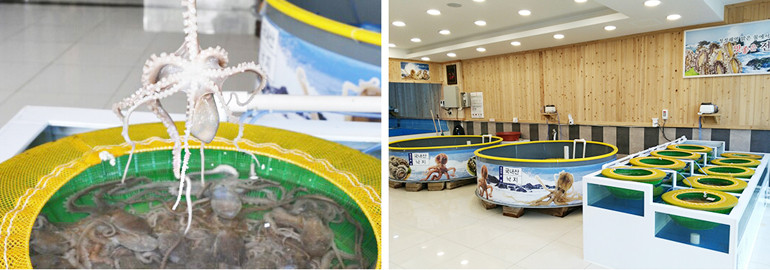 상세페이지 참조.