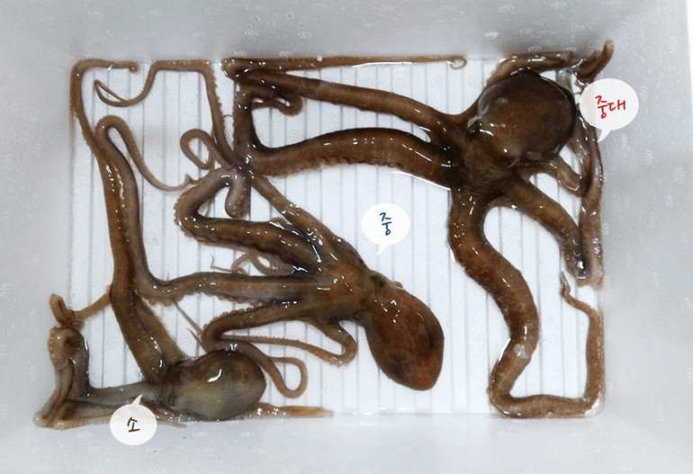 상세페이지 참조.