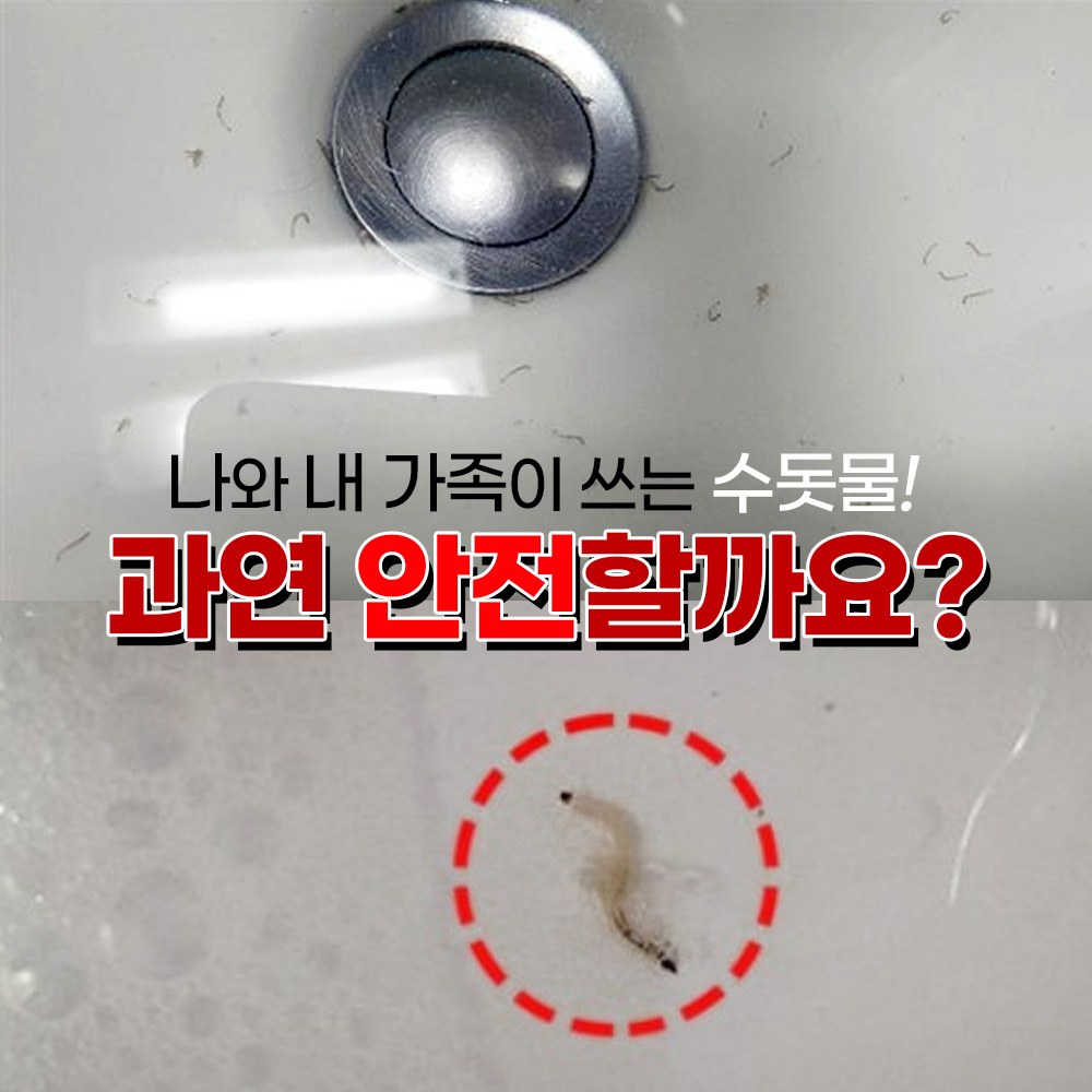 국내산 먹는물 정수필터 샤워필터4개 염소 석회 녹물제거 깔따구 유충 - 상세 이미지 4