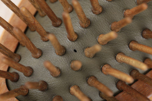 thumbnail-8