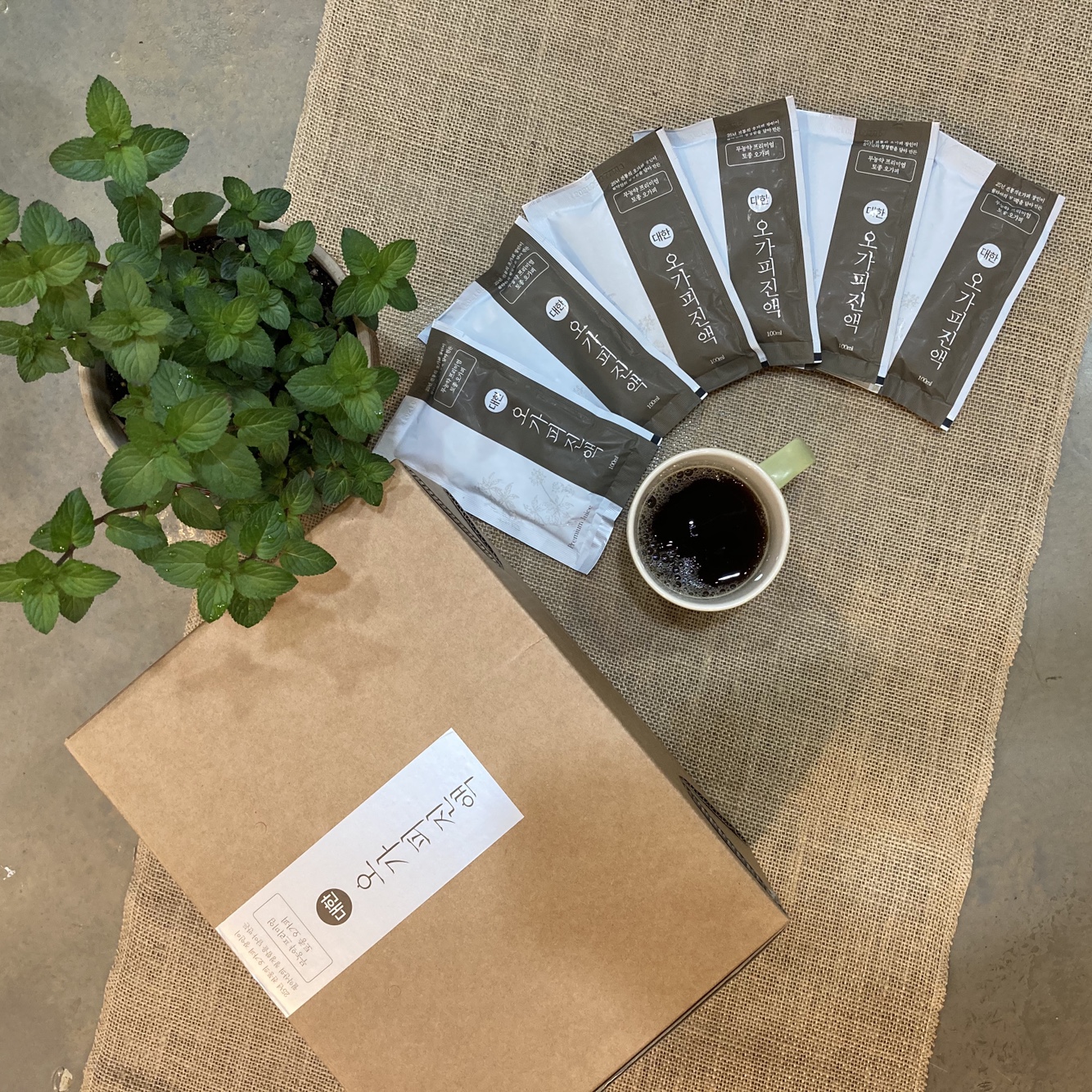 30년 장인의 대한 오가피진액 100ml 50포 - 상세 이미지 2