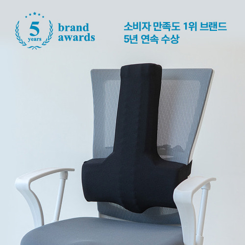 발란스코드 카이로프랙틱쿠션 허리쿠션 등쿠션 등받이쿠션 의자쿠션 1+1