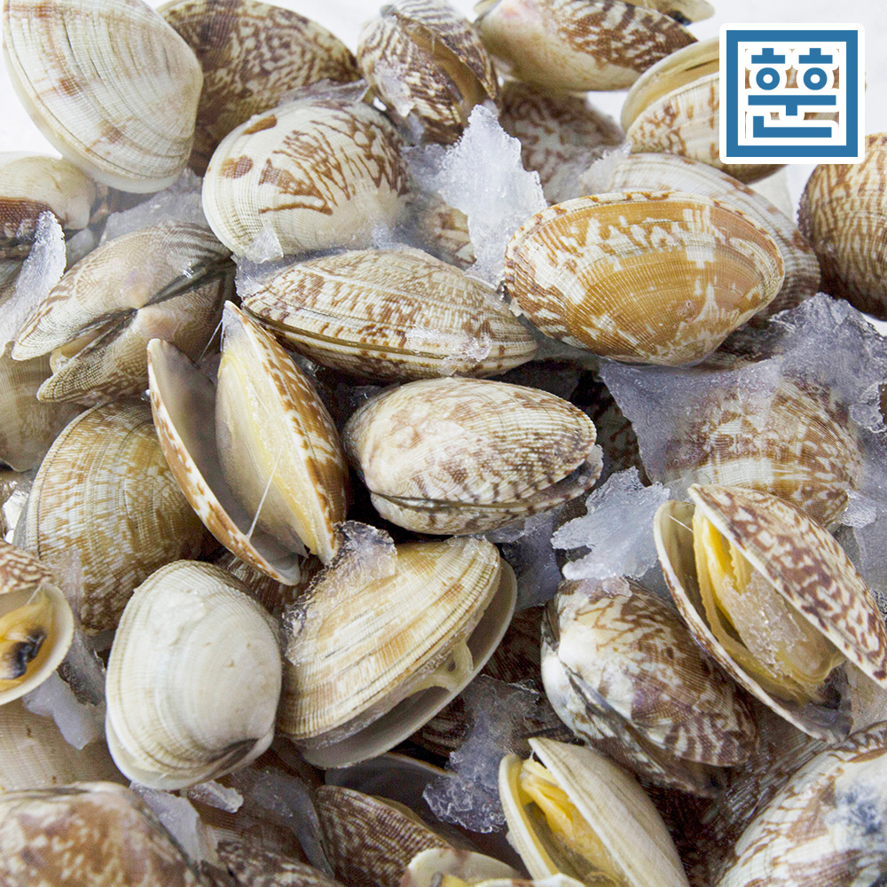 훈훈수산 자숙바지락 1kg 이미지 2