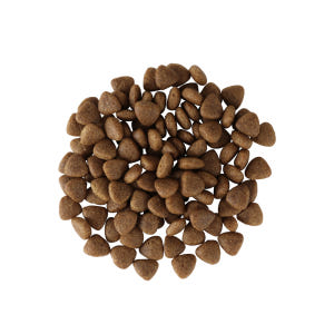 웰스비 시니어 2.4kg 가수분해 저알러지 오가닉 노견 사료 솔직 후기 | 실제 사용자 리뷰 총정리 - 상품 이미지 3