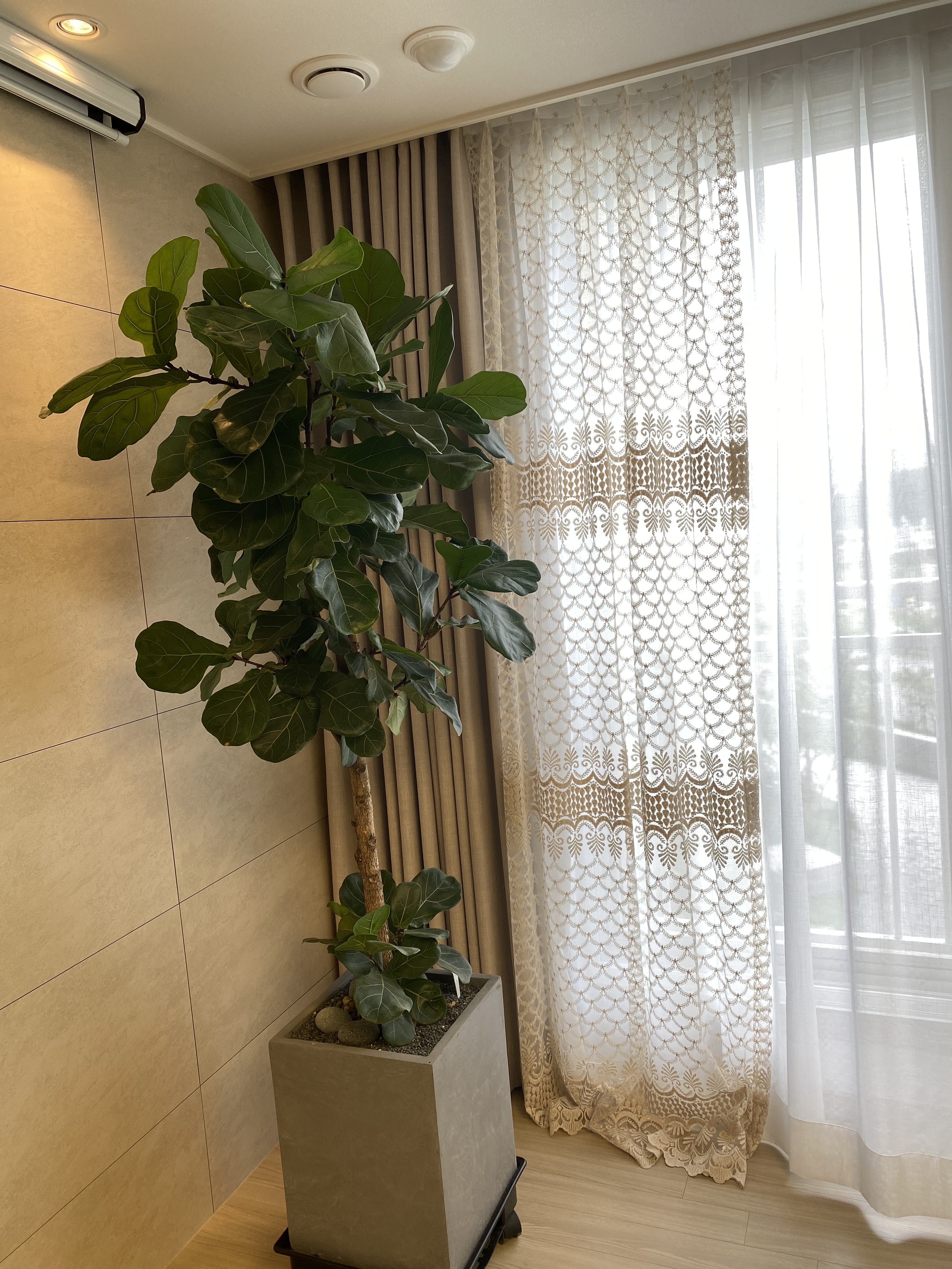 금사망사 자수 레이스 포인트 수입속커튼(맞춤제작)