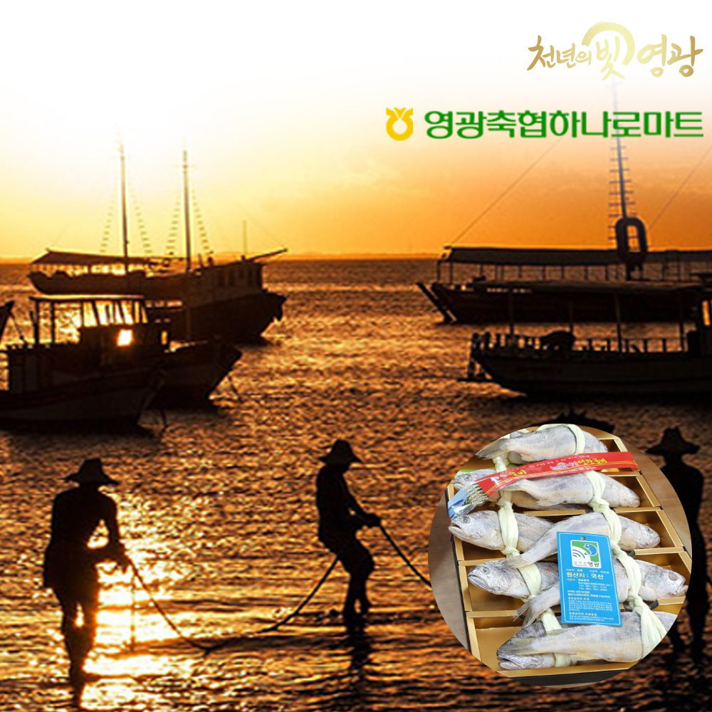 [영광축협]영광 법성포 굴비 고급형 1.3kg 1.4kg 1.5kg (10미) - 상세 이미지 2