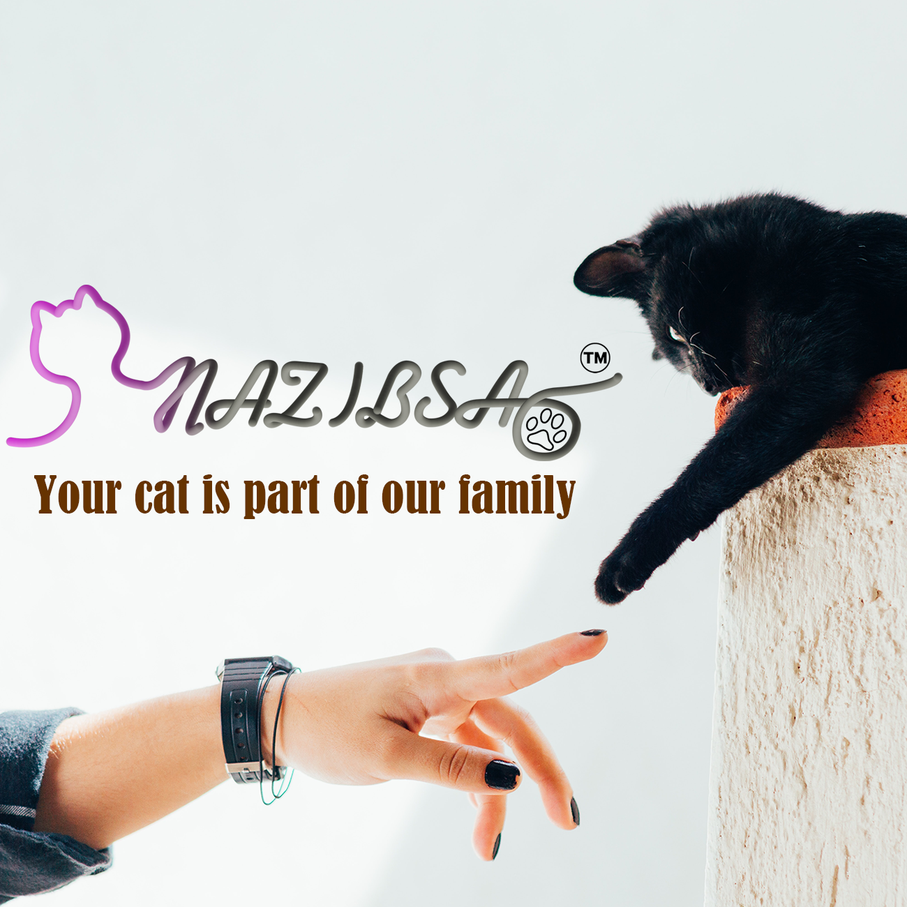 nazibsa 스토어 로고