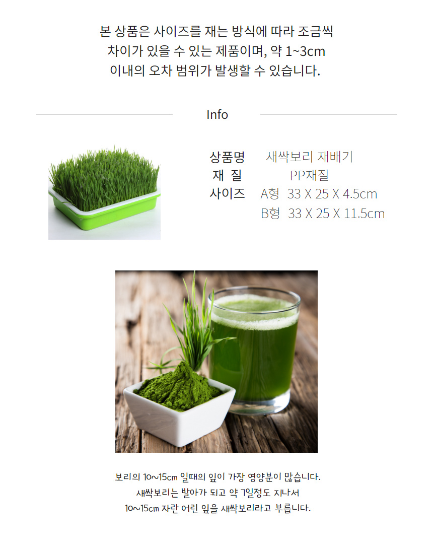 새싹보리 키우기 셀링치나 새싹보리 9