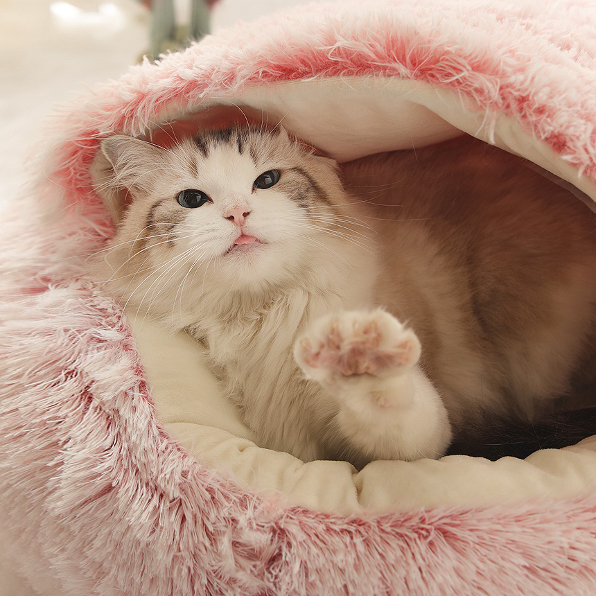 강아지 고양이 애견 이불 도넛 마약 방석 쿠션 S