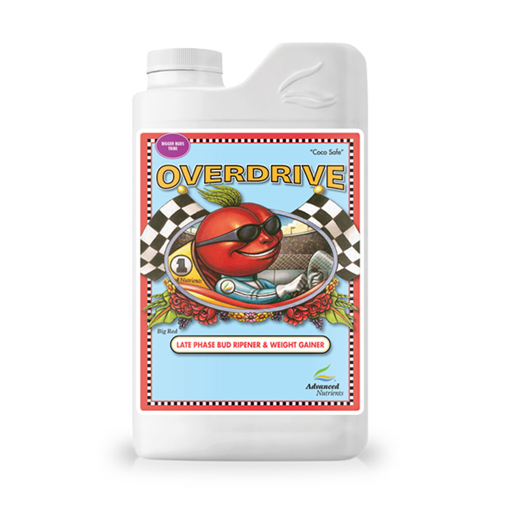 Advanced Nutrients Overdrive 사용 후 풍성한 식물 이미지