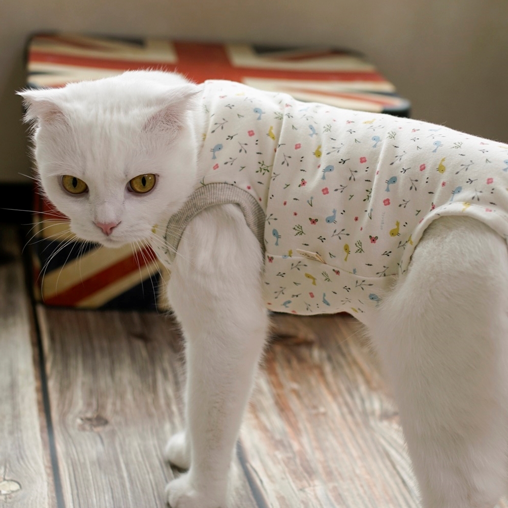 고양이옷 환묘복 오가닉코튼 오버그루밍방지 중성화옷 핑크 도트