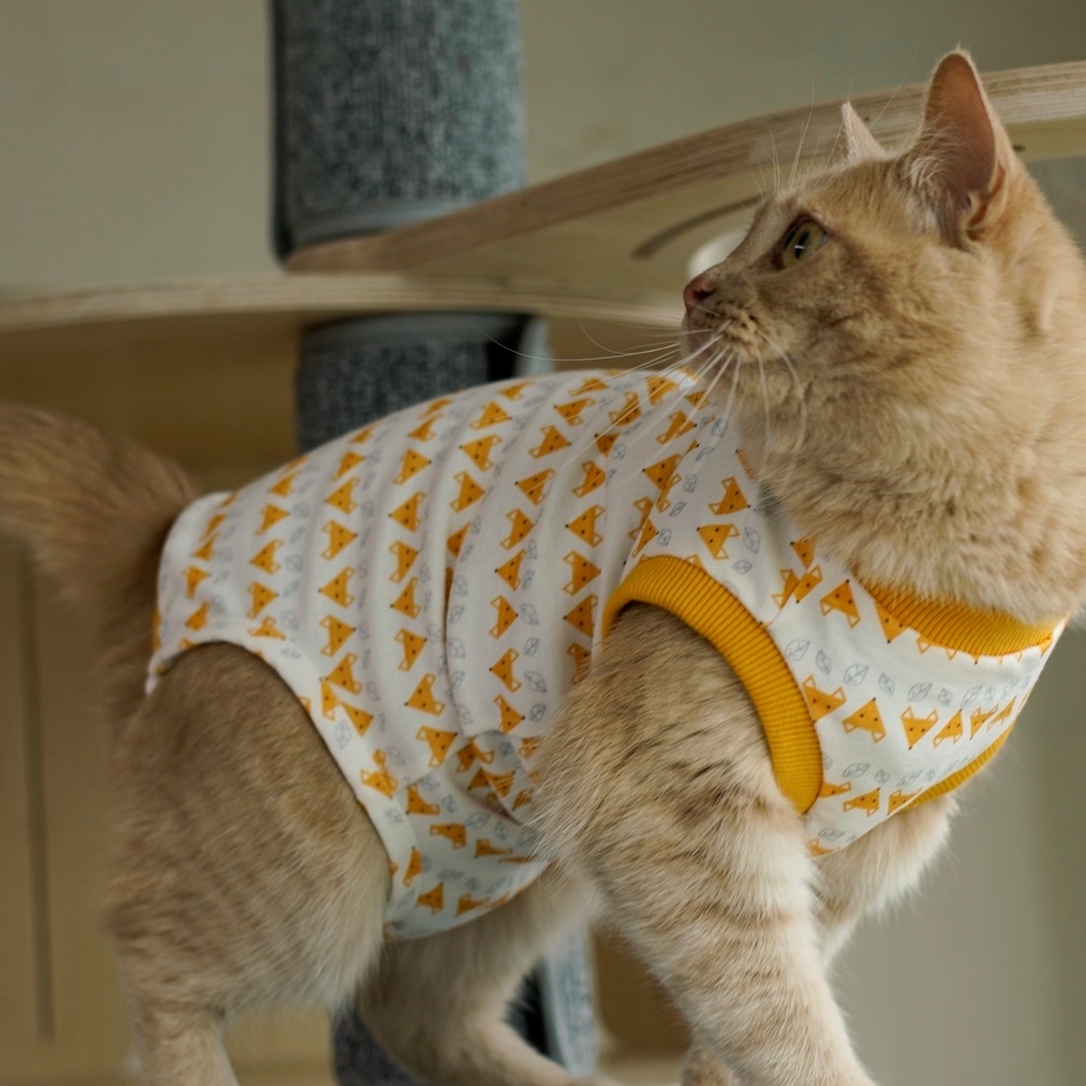 고양이옷 환묘복 오가닉코튼 오버그루밍방지 중성화옷 핑크 도트