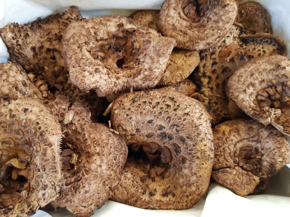 국내산 자연산 능이버섯 1kg 생물 백화점 고급 버섯 선물 세트 국산 추석 부모님 선물용 - 상세 이미지 3