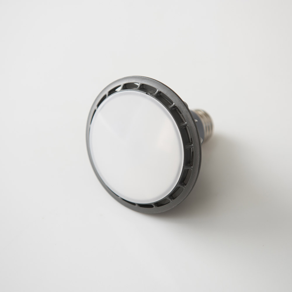[공통] LED PAR30 확산형 15W 램프 - 상품 이미지