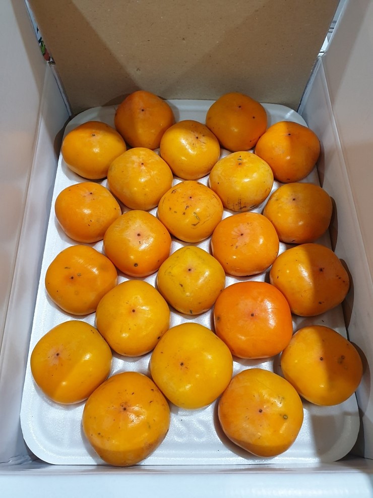 씨없는 청도반시 연시 홍시 2.5kg 5kg 2S S M L - 상세 이미지 3