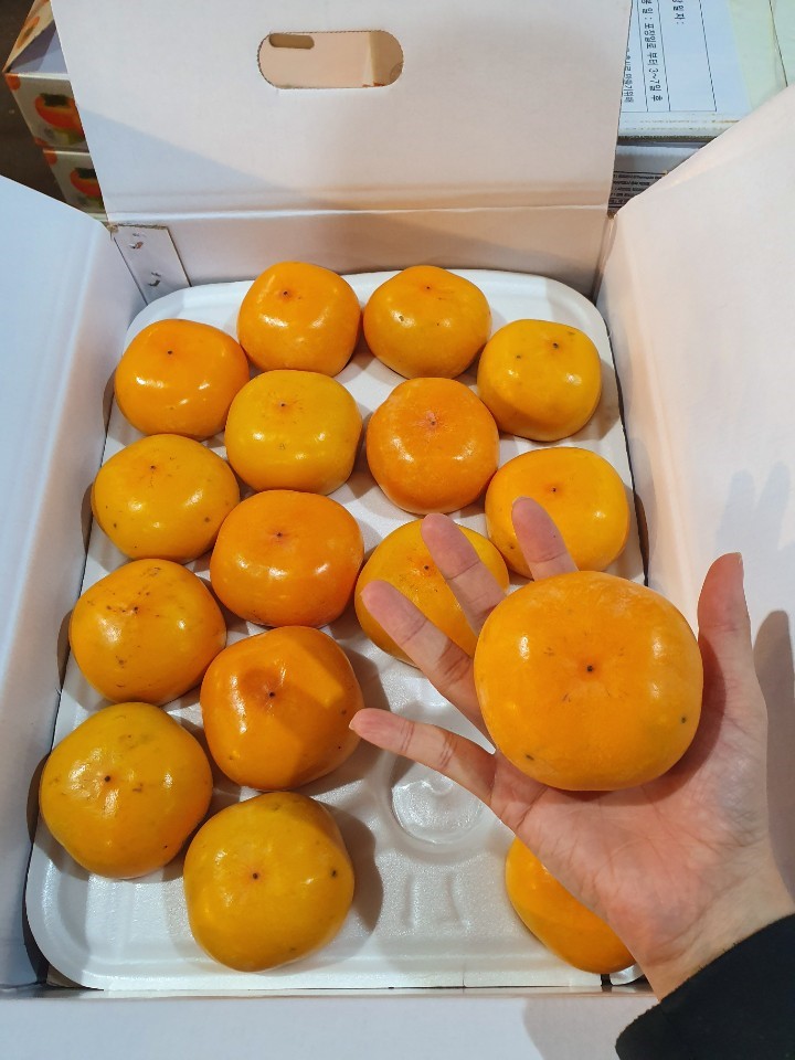 씨없는 청도반시 연시 홍시 2.5kg 5kg 2S S M L - 상세 이미지 2