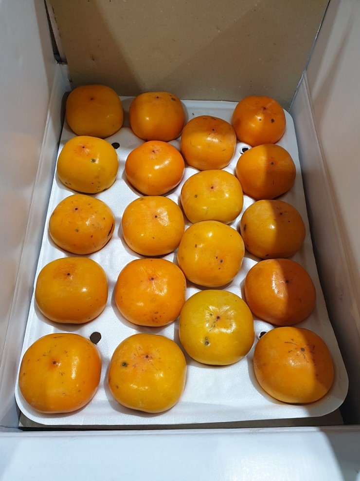 씨없는 청도반시 연시 홍시 2.5kg 5kg 2S S M L - 상세 이미지 4