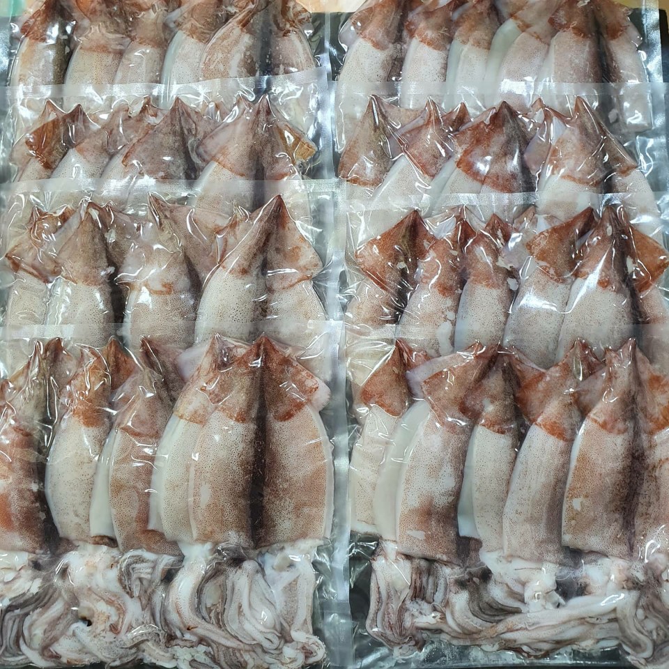 동해 영덕 손질오징어 1kg 국내산 통오징어 오징어알 생물 절단 물 오징어 무늬오징어