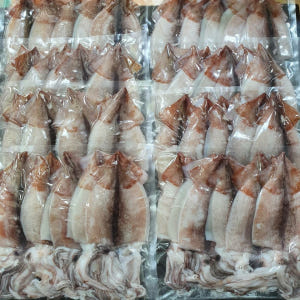 동해 영덕 손질오징어 1kg 국내산 통오징어 오징어알 생물 절단 물 오징... 맛있게 먹은 솔직 후기 - 상품 이미지 4