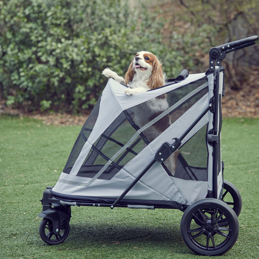 보니렌 펫11 PET11 대형견 중형견 저상형 강아지 유모차